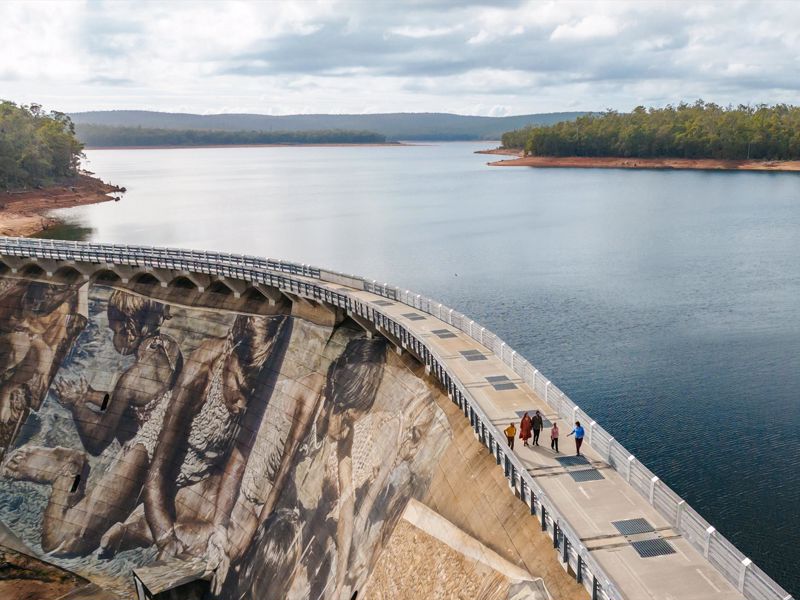 Forest Explorers - Main image