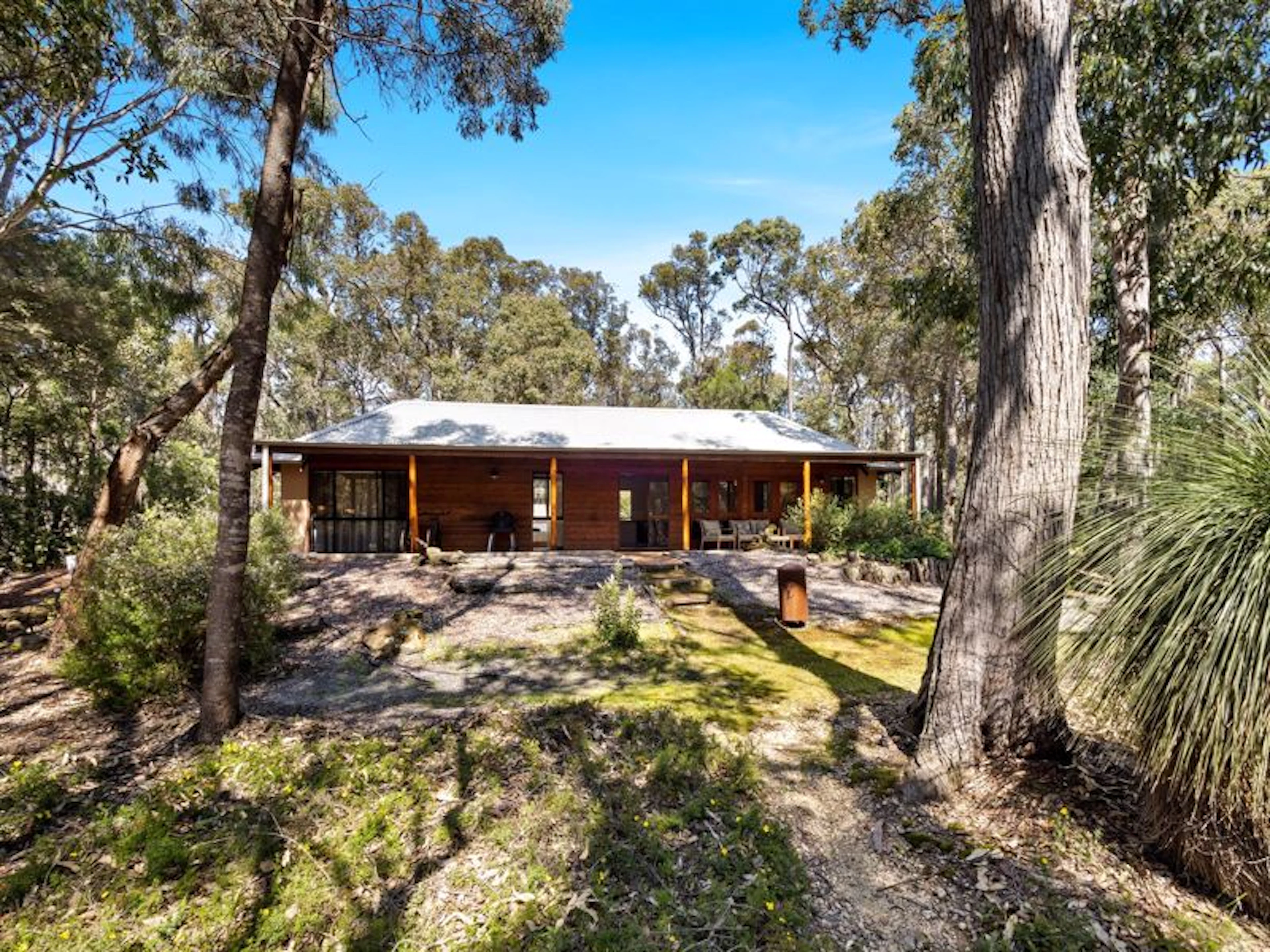 Forest Rise - Image 2