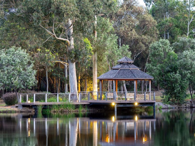 Forest Rise - Image 3