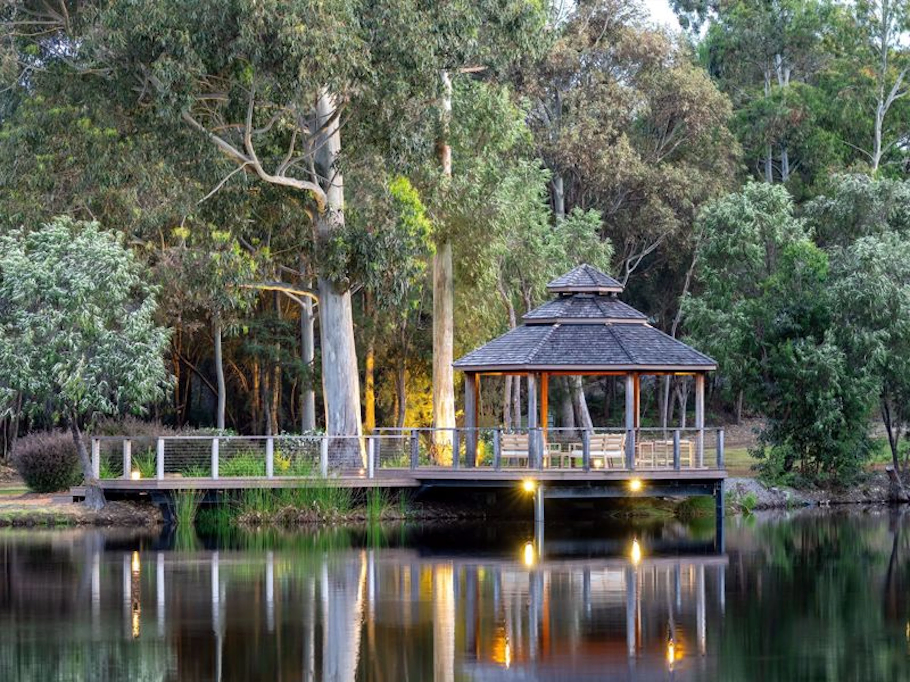 Forest Rise - Image 3