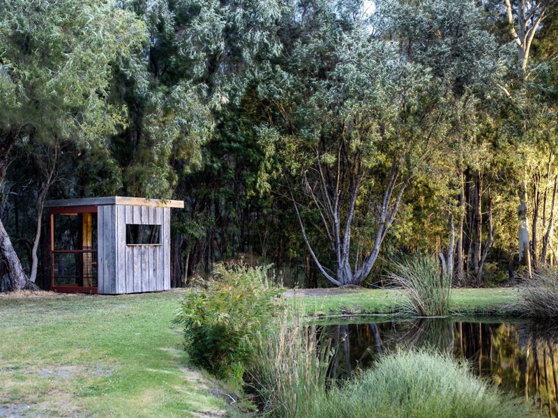 Forest Rise - Image 4