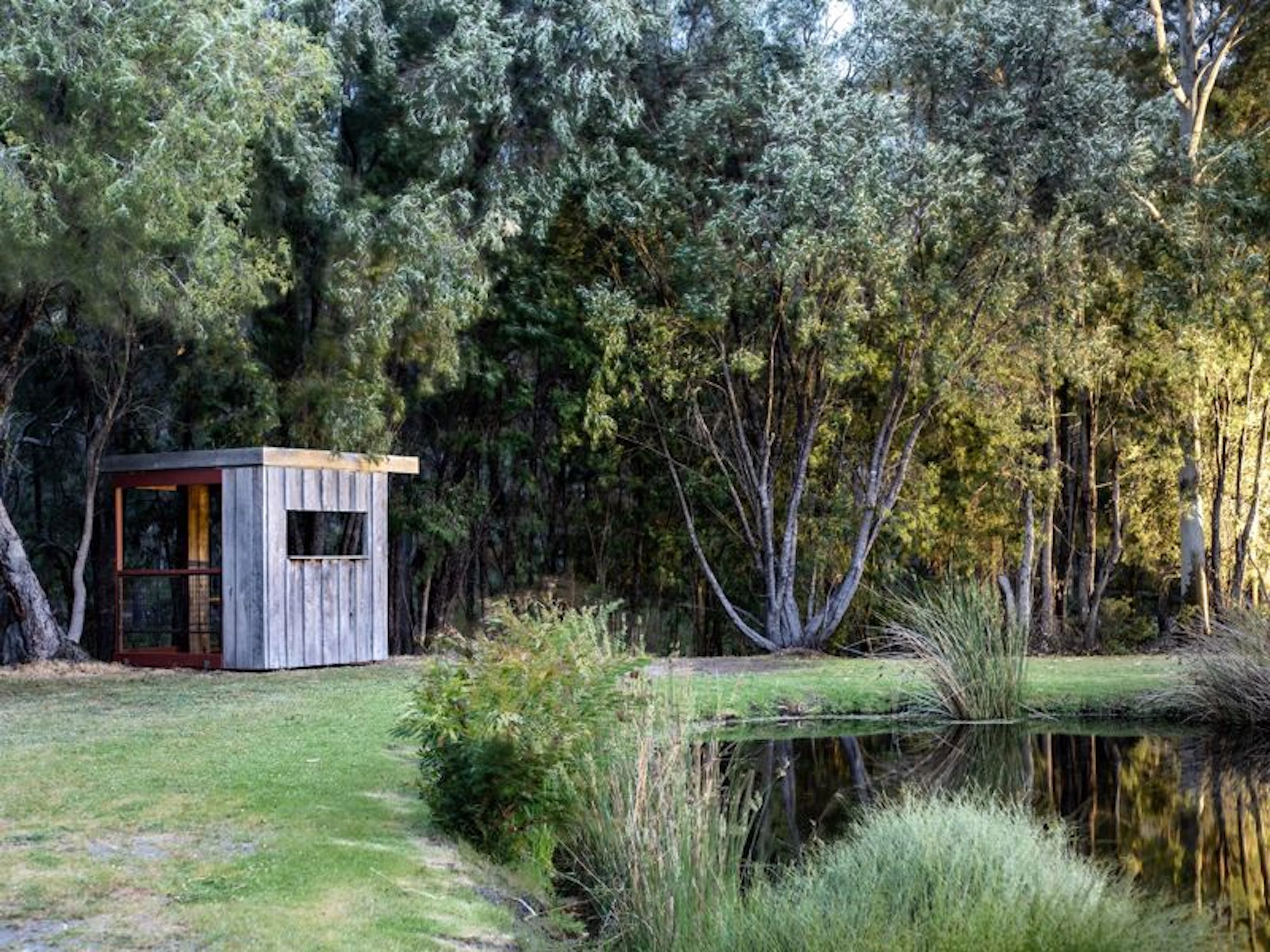 Forest Rise - Image 4