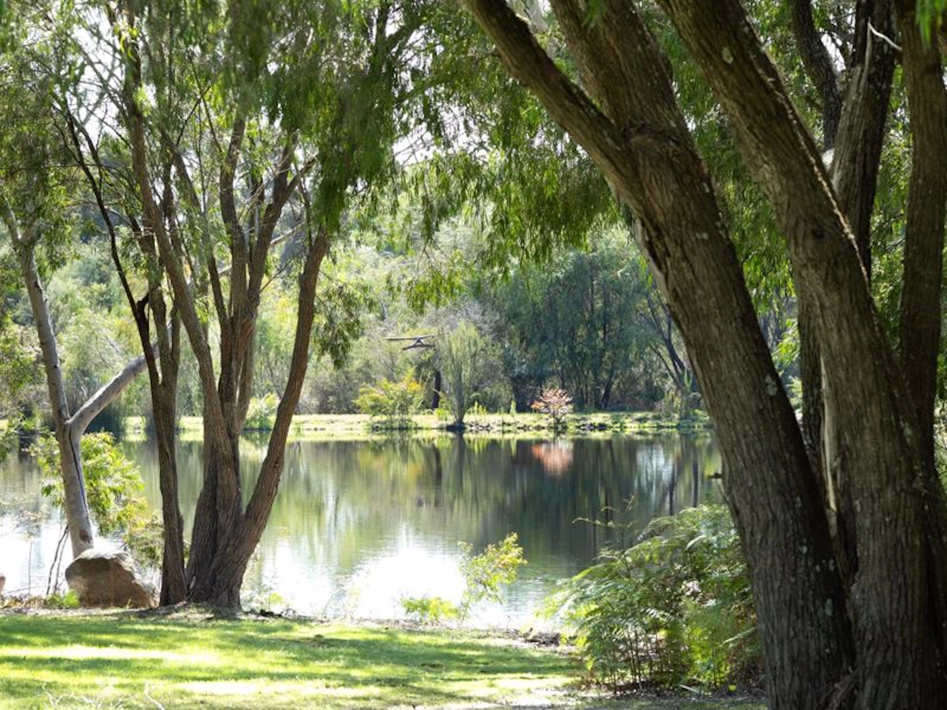 Forest Rise - Image 5