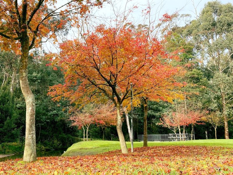 Glen Cromie Caravan Park - Image 3