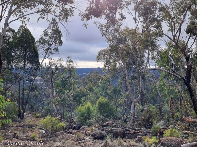 Glen Lough Cabins - Image 4