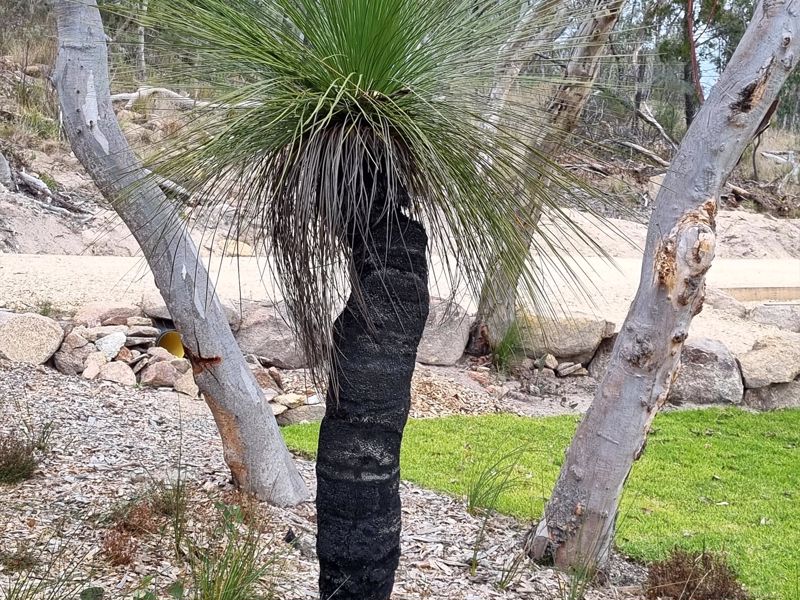 Glen Lough Cabins - Image 5