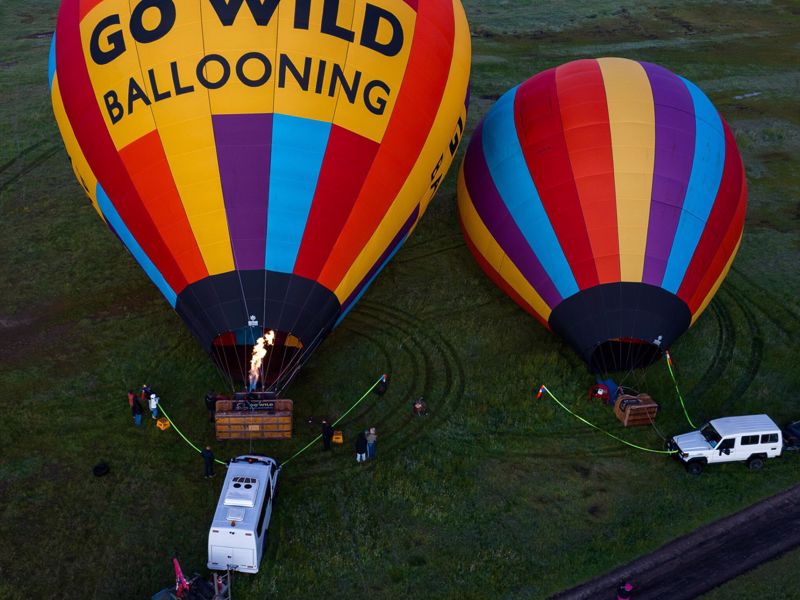 Go Wild Ballooning
