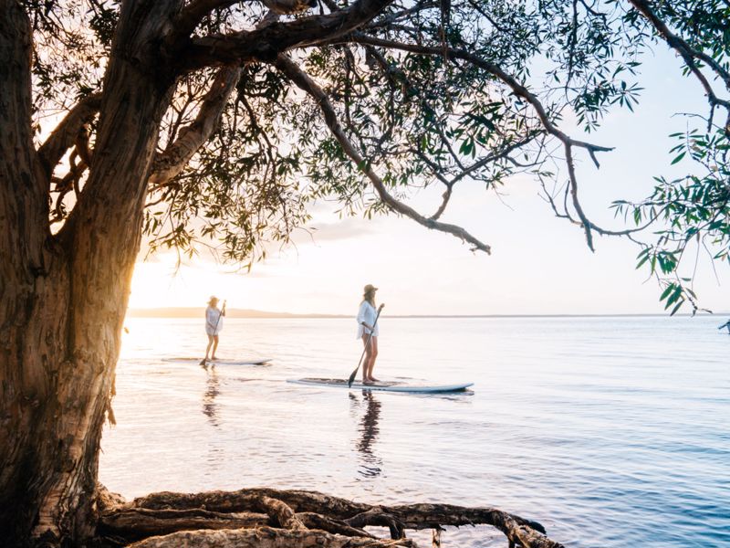 Habitat Noosa Everglades Eco Camp in Sunshine Coast — photo 4