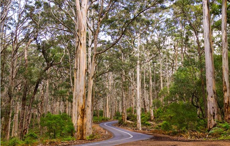 Hamelin Bay Holiday Park - Image 5