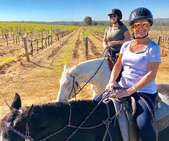 Hunter Valley Horses - Image 3