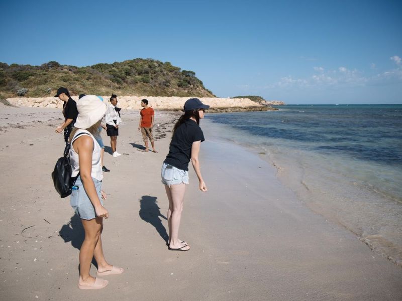 In Culture Tours - Image 3