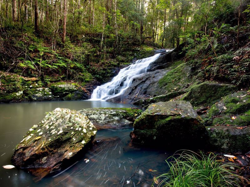 Ingenia Holidays Noosa North - Image 5