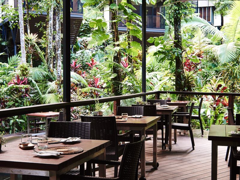 Intrepid Daintree Eco-Lodge