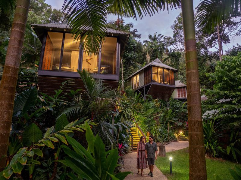 Intrepid Daintree Eco-Lodge - Image 4