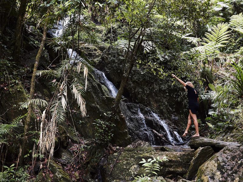 Intrepid Daintree Eco-Lodge - Image 5