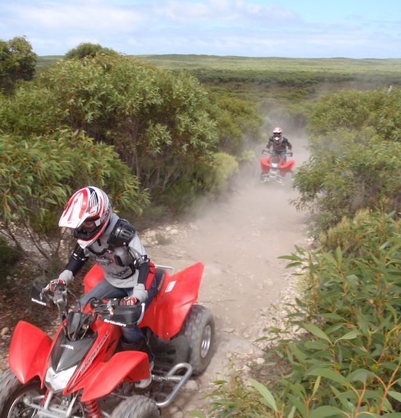 Kangaroo Island Outdoor Action - Image 5