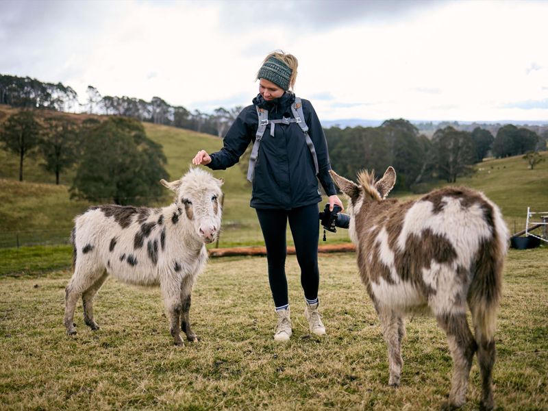 Kenzell Farm - Image 4