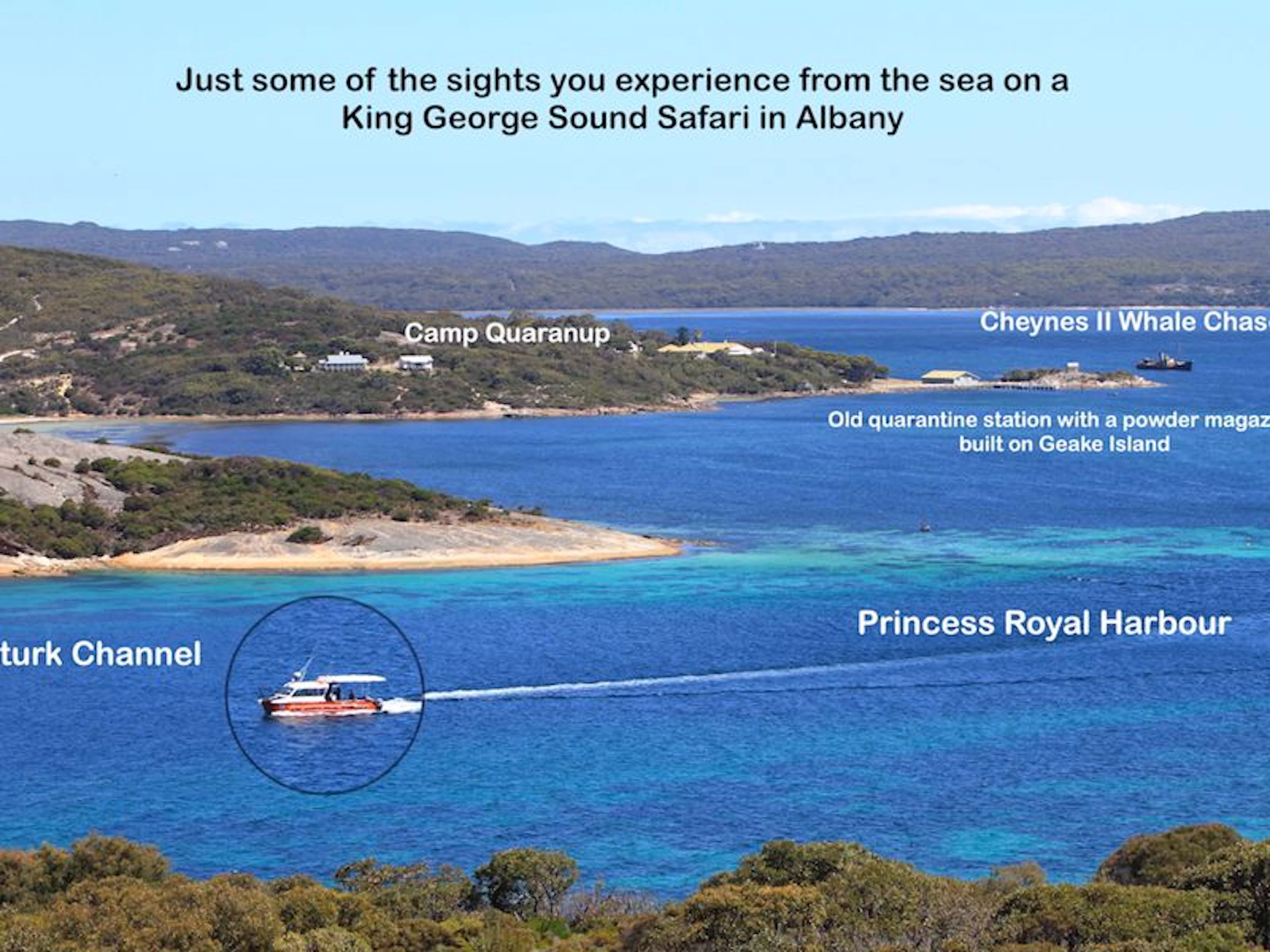 King George Sound Safari - Main image