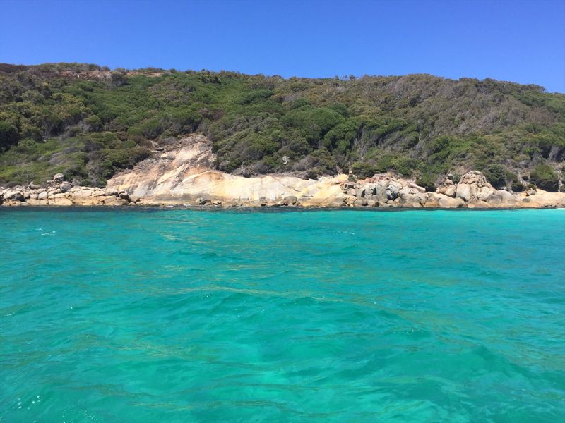 King George Sound Safari - Image 2