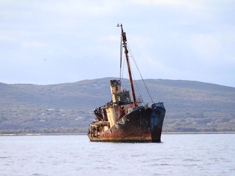 King George Sound Safari - Image 3