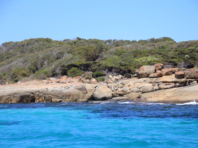 King George Sound Safari - Image 4