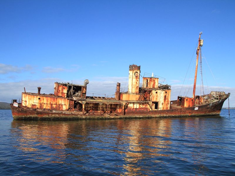 King George Sound Safari