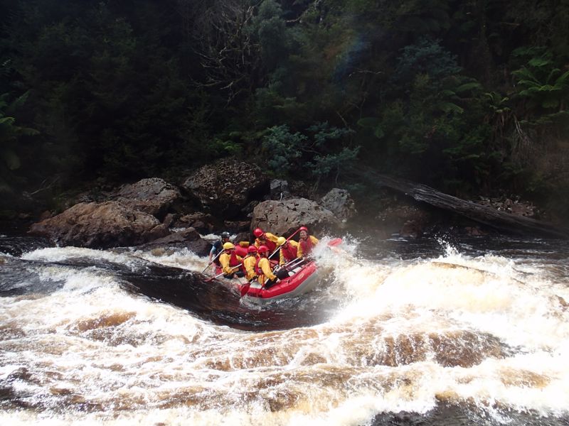 King River Rafting