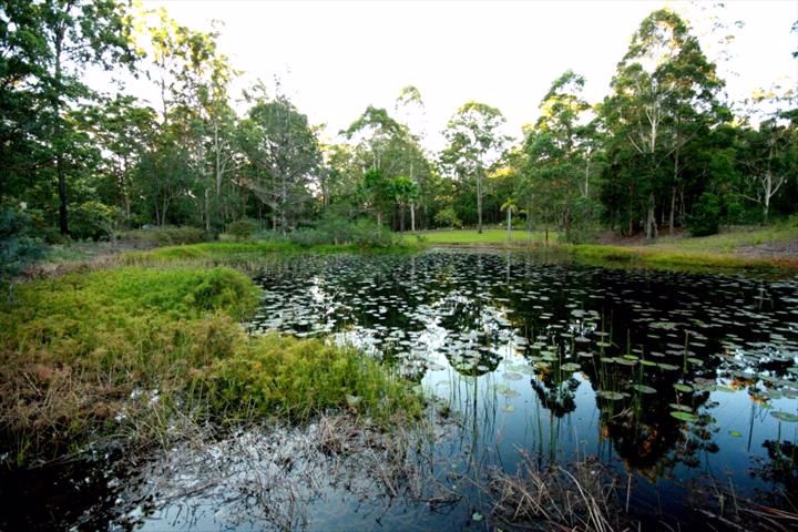 Kiwarrak Country Retreat - Image 4