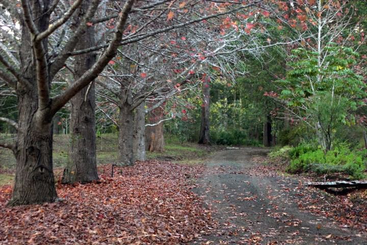 Kiwarrak Country Retreat - Image 5