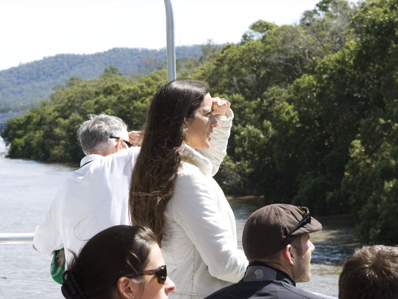 Koala and River Cruises - Image 2