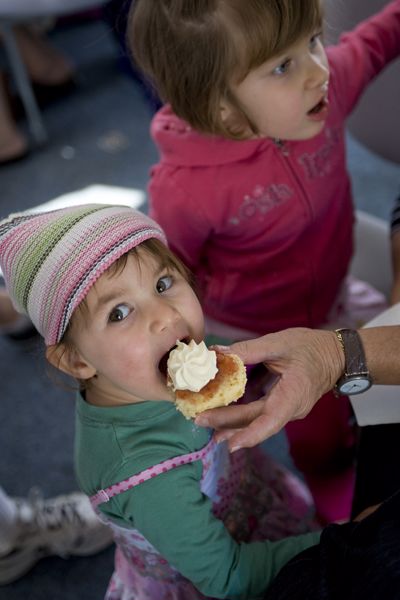 Koala and River Cruises - Image 5