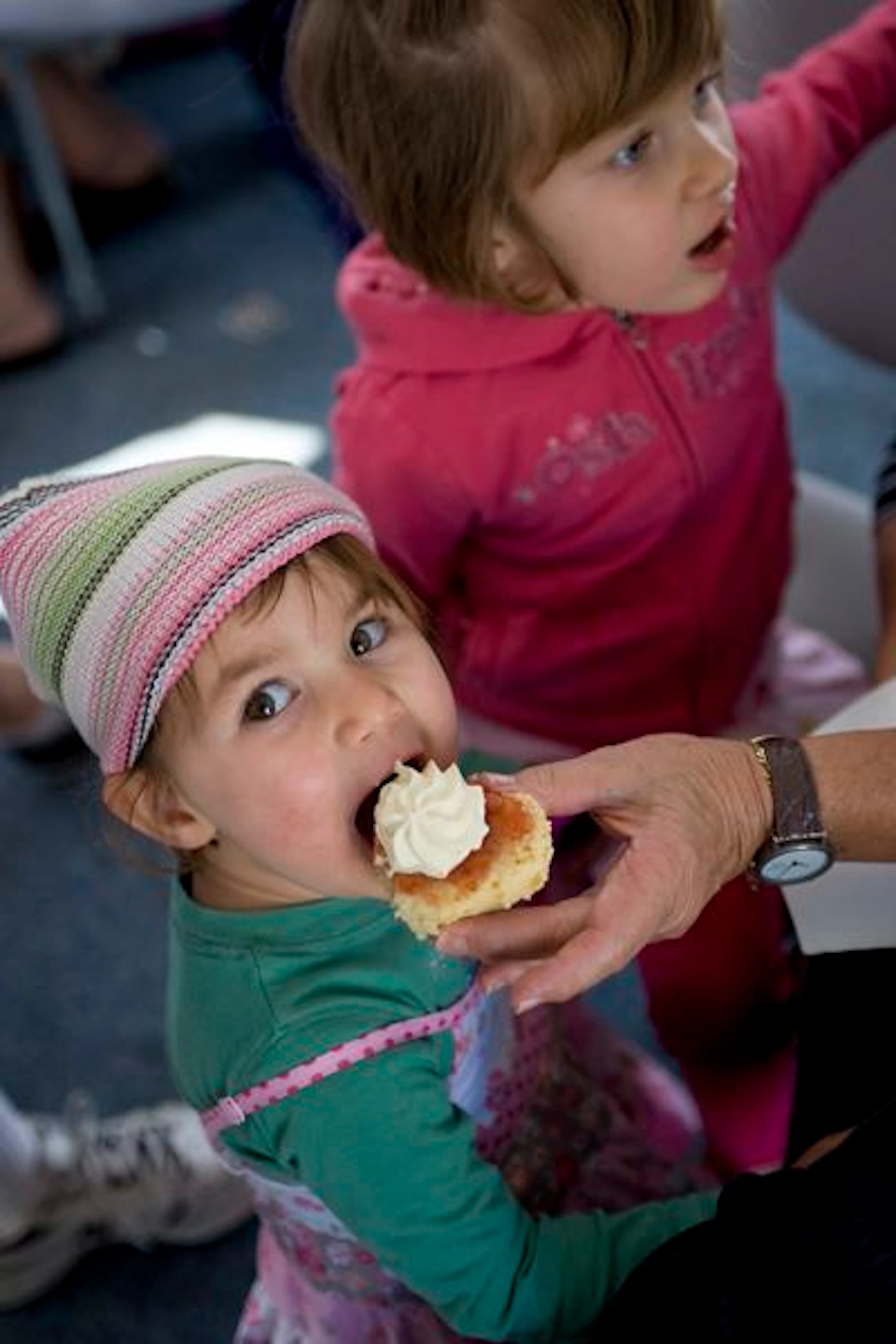 Koala and River Cruises - Image 5