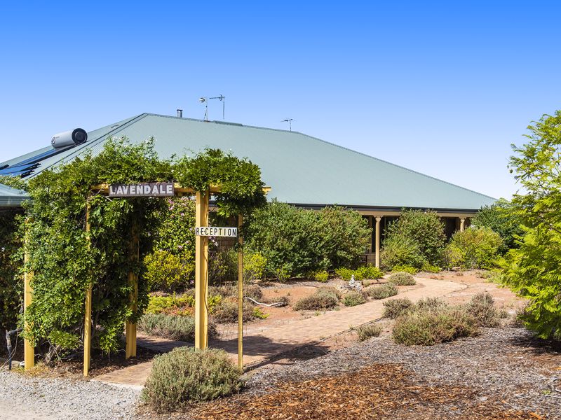 Lavendale Country Retreat