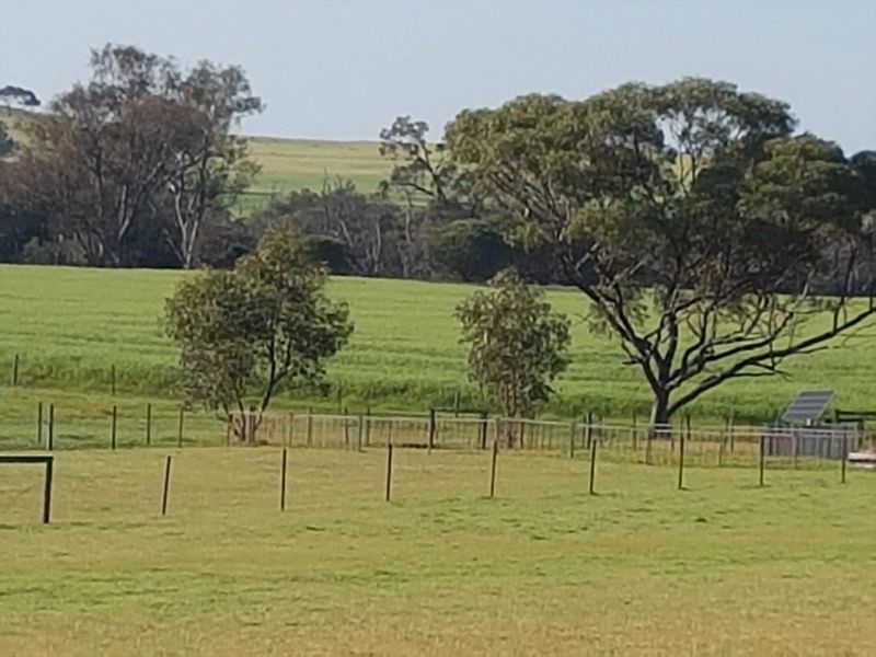 Lavendale Country Retreat - Image 4