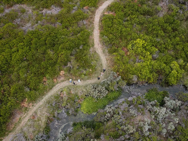 Limestone Coast Tourist Park