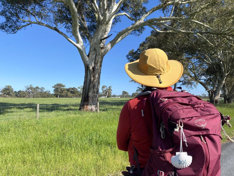 Limestone Coast Tourist Park - Image 2