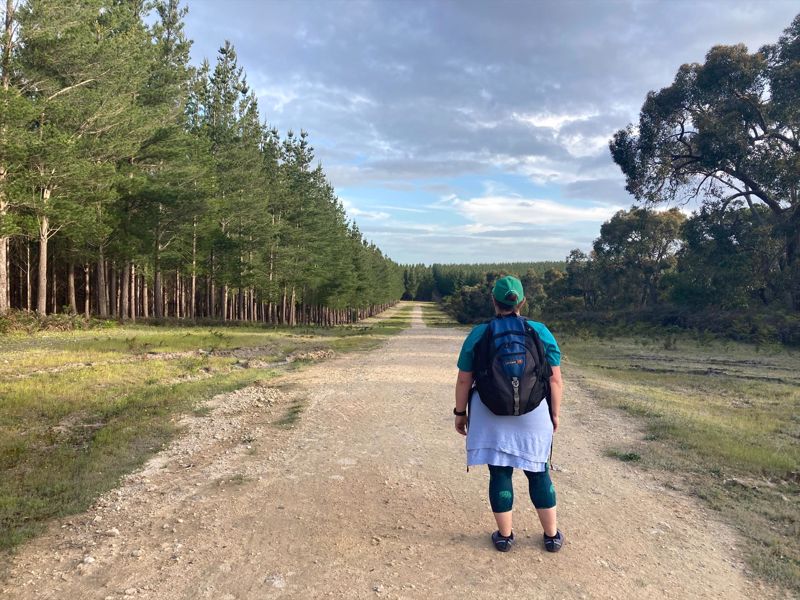 Limestone Coast Tourist Park - Image 3