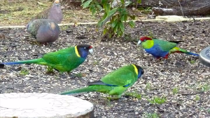 Little Shangri-La B & B