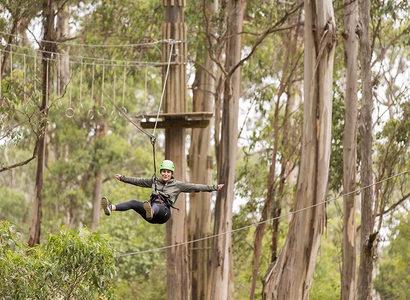 Live Wire Park - Image 2