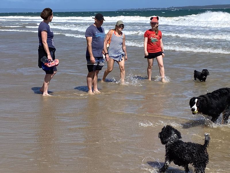 Lonsdale Palms - Image 2