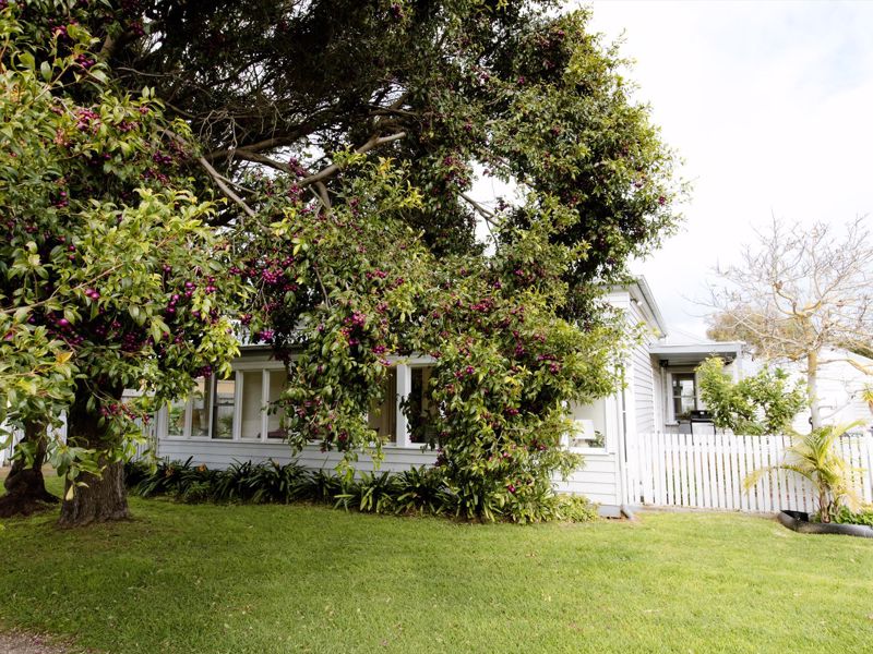 Lonsdale Palms - Image 3