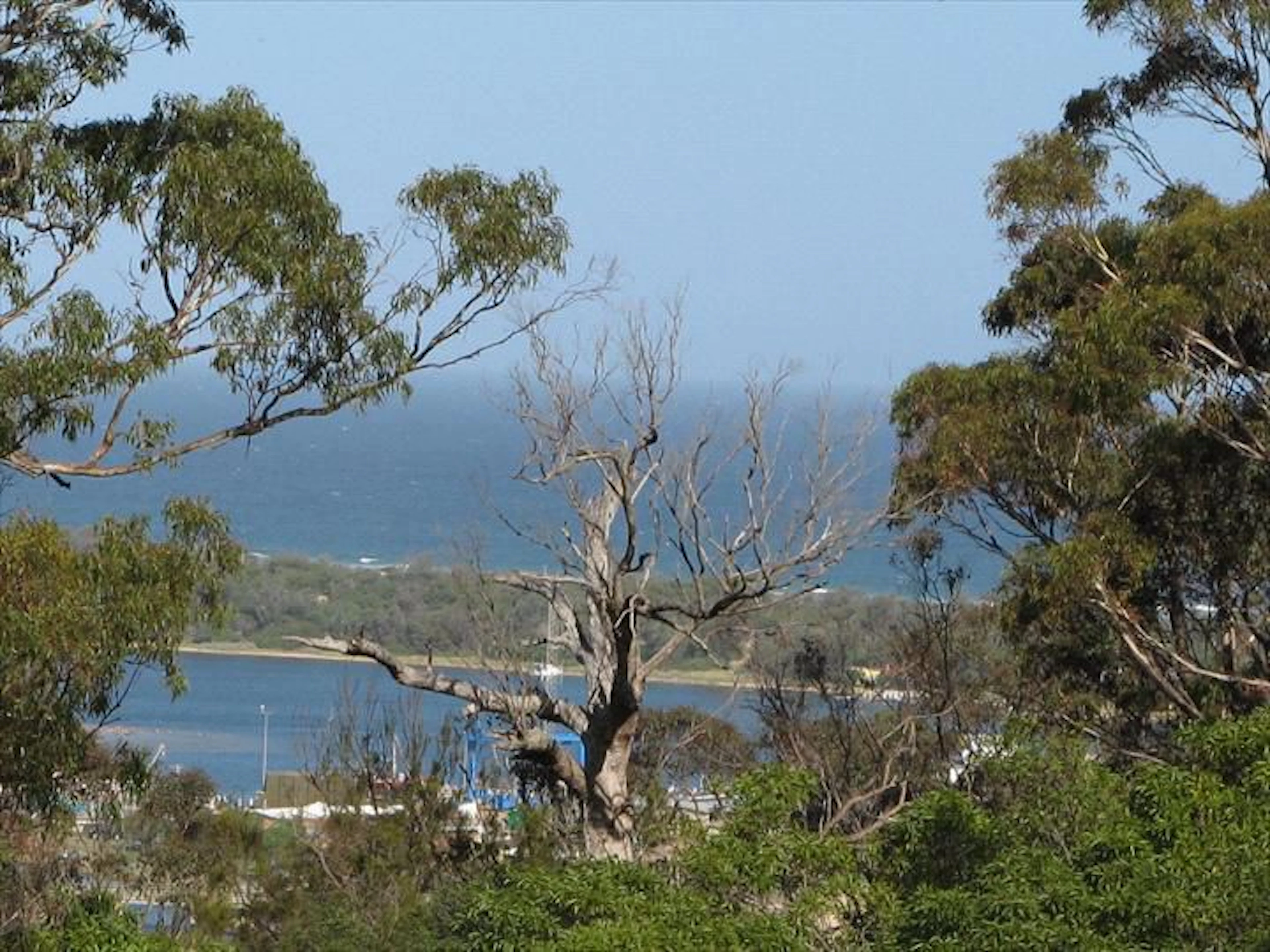 Lookout Holiday Units