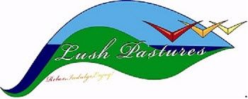 Lush Pastures
