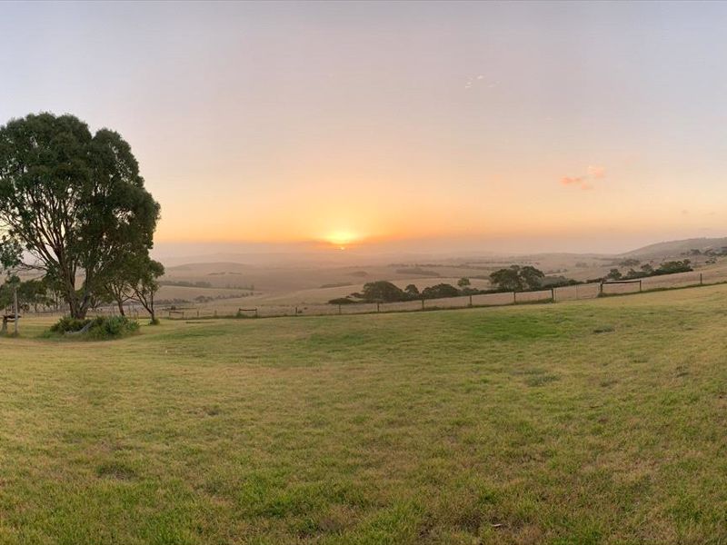 Lush Pastures - Image 5