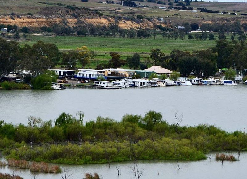 Mannum Caravan Park - Image 4