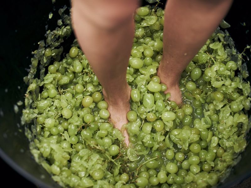 McLeish Estate Wines - Image 3