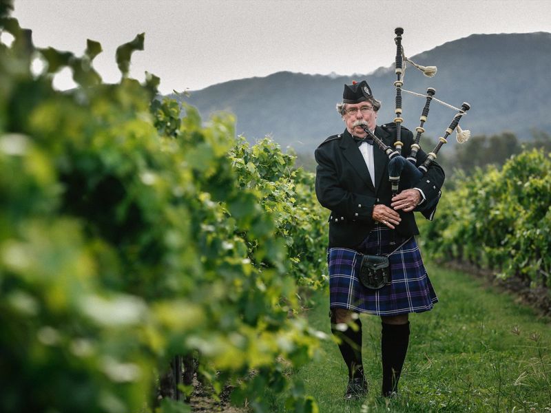 McLeish Estate Wines - Image 4