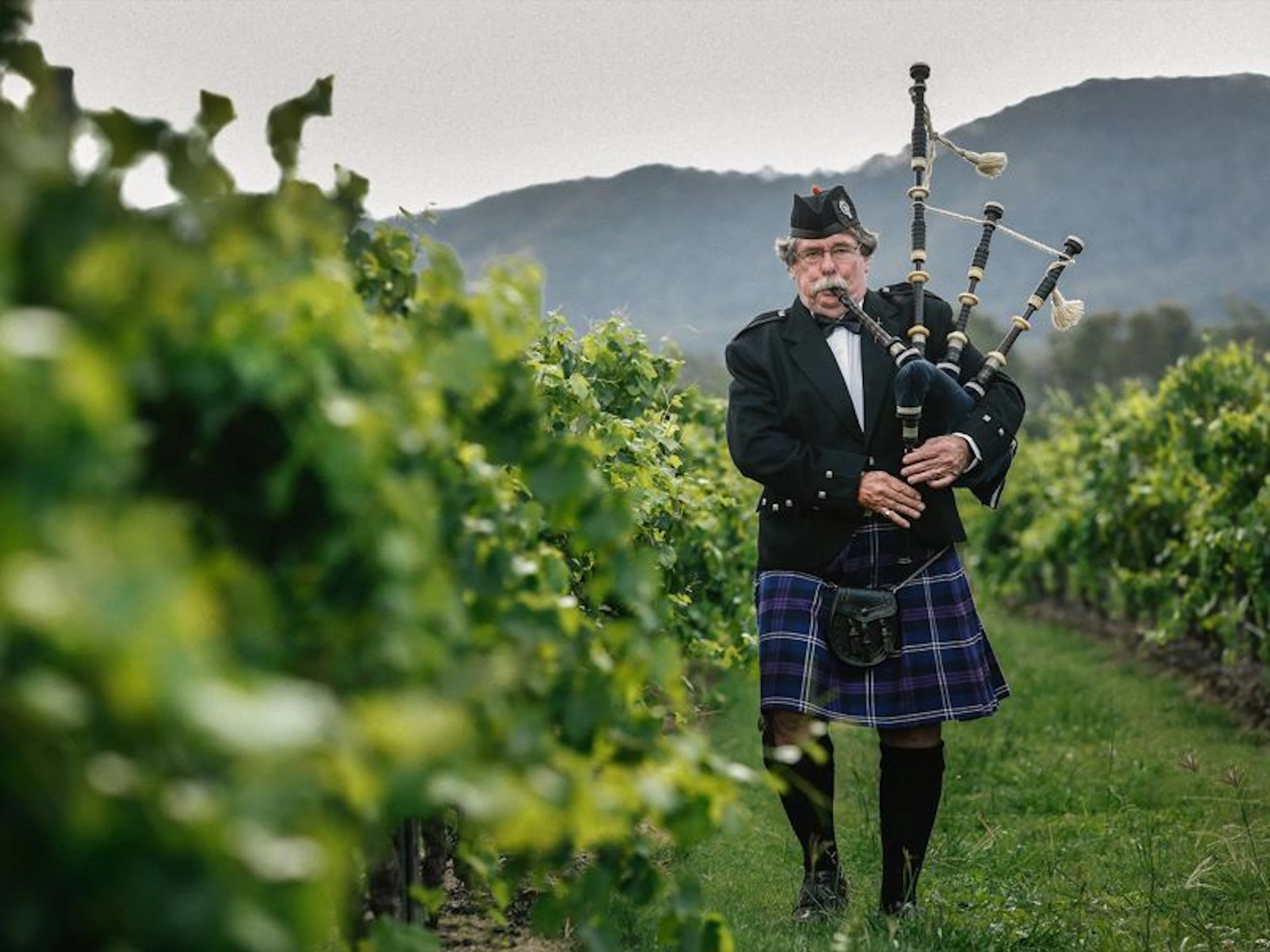 McLeish Estate Wines - Image 4