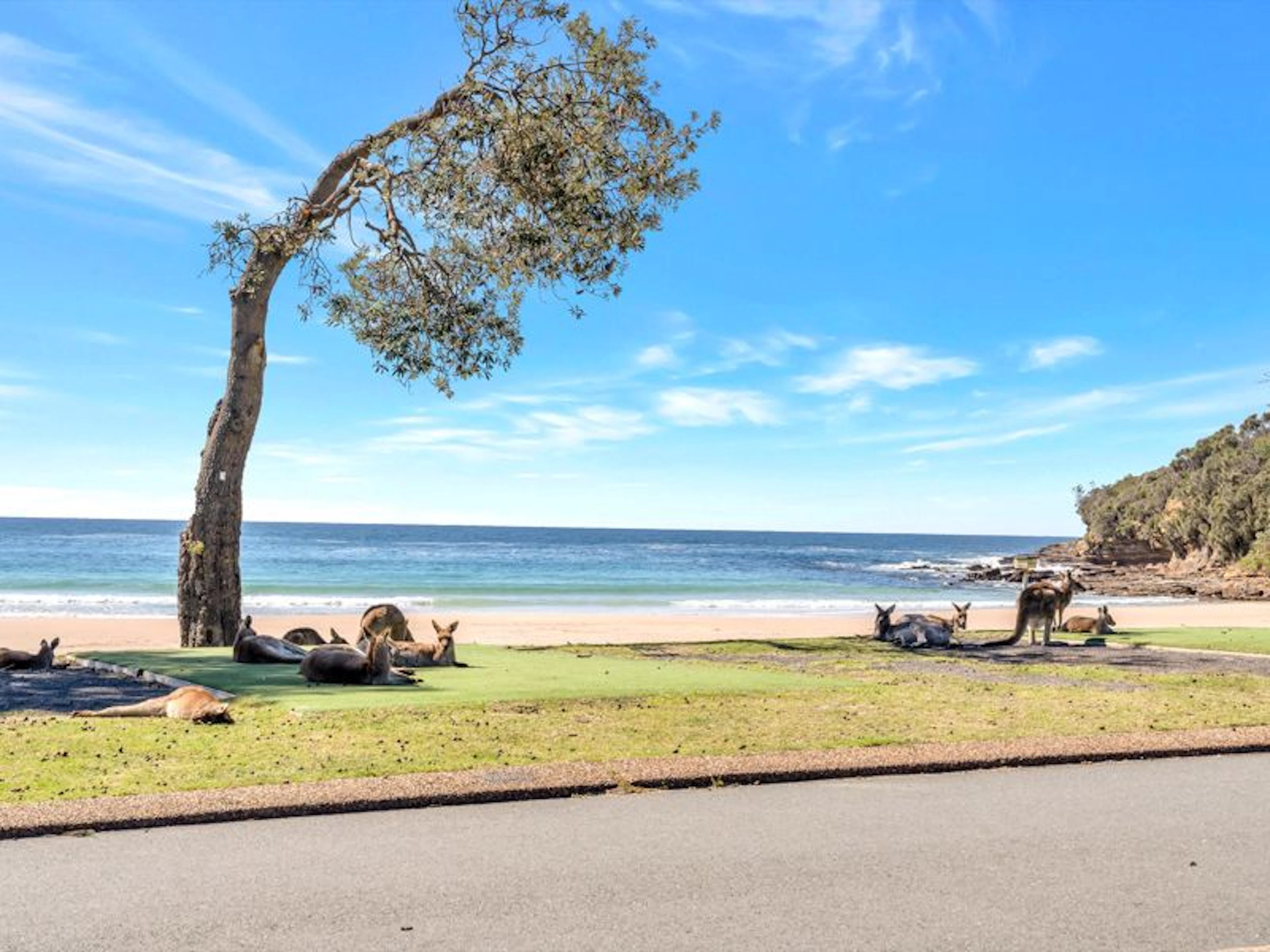 Merry Beach Caravan Resort - Main image