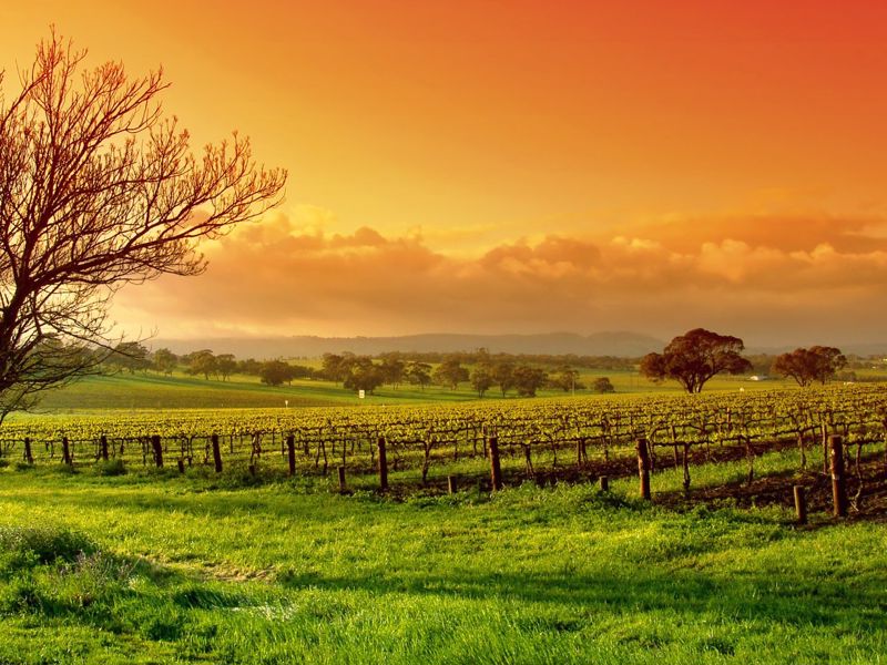 Merry Heart CBR - Main image